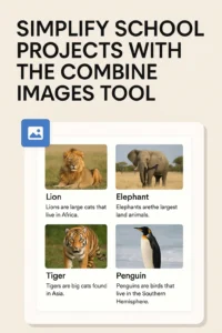 combine-images-tool combine-images-tool