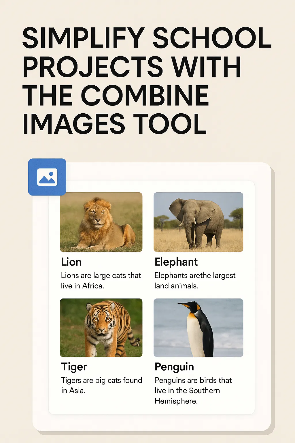 Transform School Projects Instantly with the Innovative Combine Images Tool